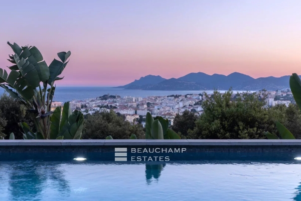 Maison de luxe à vendre à Cannes, 5 250 000 €, Photo 1