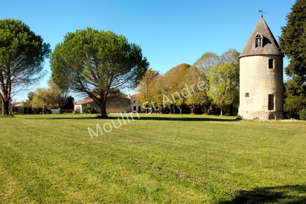 Maison de luxe à vendre à Saint-André-de-Lidon, 588 000 €, Photo 5