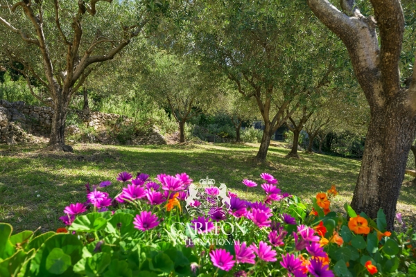 Luxury House for sale in Cabris, 1 095 000 €, Photo 6