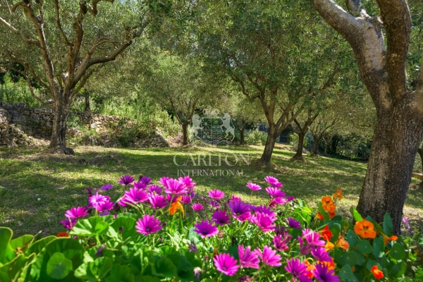 Maison de luxe à vendre à Cabris, 1 095 000 €, Photo 6