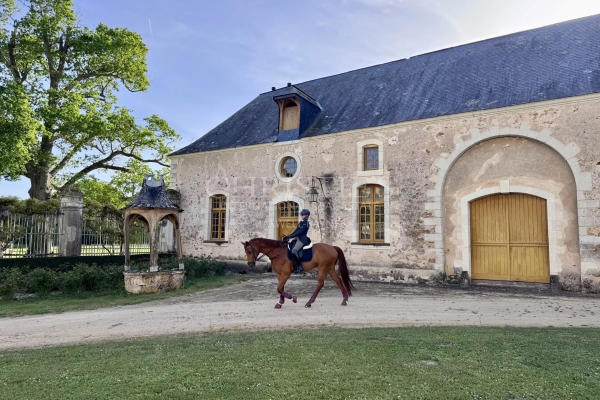 Maison de luxe à vendre à Sablé-sur-Sarthe, 1 790 000 €, Photo 4