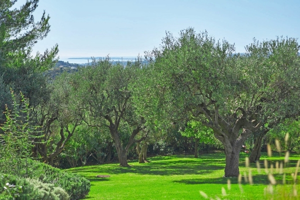 Luxury House for sale in Nice, 2 800 000 €, Photo 2