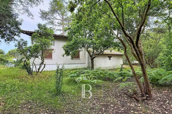 Maison de luxe à vendre à Lege Cap Ferret, 950 000 €, Photo 4