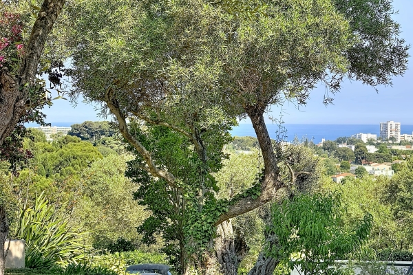 Maison de luxe à vendre à Antibes, 1 490 000 €, Photo 5