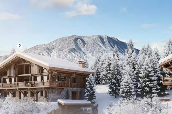 Maison de luxe à vendre à Chamonix-Mont-Blanc, 4 200 000 €, Photo 1