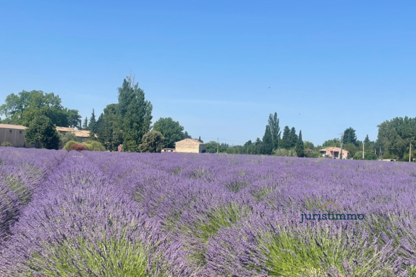 Maison de luxe à vendre à Camaret-sur-Aigues, 1 149 500 €, Photo 4