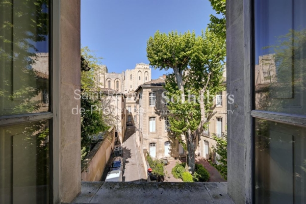 Maison de luxe à vendre à Avignon, 2 500 000 €, Photo 5