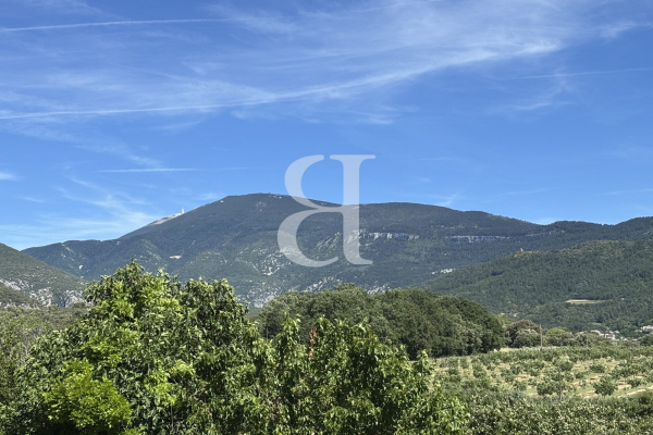 Maison de luxe à vendre à Malaucène, 649 000 €, Photo 4