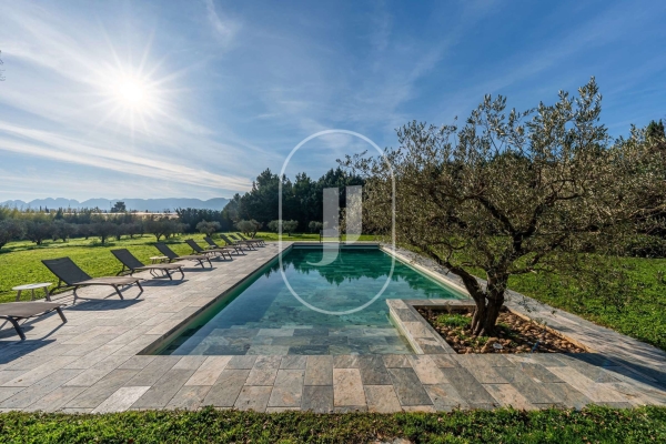 Luxury House for sale in Saint-Rémy-de-Provence, 4 750 000 €, Photo 2