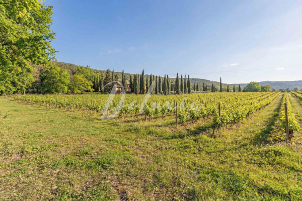 Luxury House for sale in Villecroze, 2 980 000 €, Photo 5