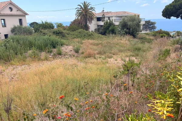 Terrain de luxe à vendre à Cannes, 2 100 000 €, Photo 3