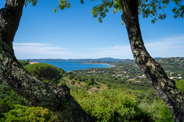 Maison de luxe à vendre à Roquebrune-sur-Argens, 1 750 000 €, Photo 1
