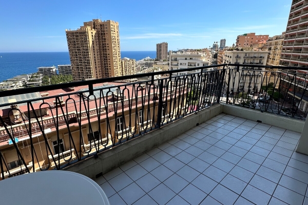 Appartement de luxe à vendre à Monaco, 3 900 000 €, Photo 2