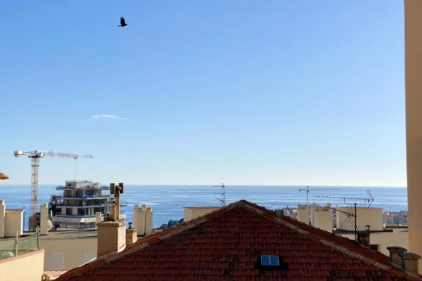 Maison de luxe à vendre à Beausoleil, 2 380 000 €, Photo 2