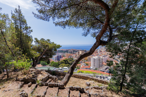 Maison de luxe à vendre à Beausoleil, 6 900 000 €, Photo 1