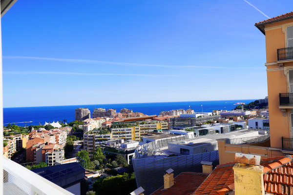 Appartement de luxe à vendre à Monaco, 6 800 000 €, Photo 4