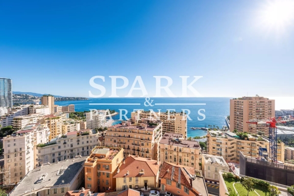 Appartement de luxe à louer à Monaco, 38 000 €, Photo 2