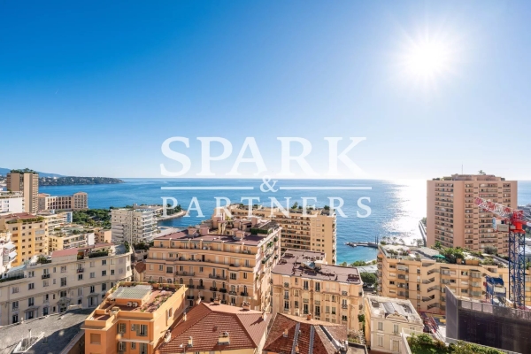 Appartement de luxe à louer à Monaco, 38 000 €, Photo 4