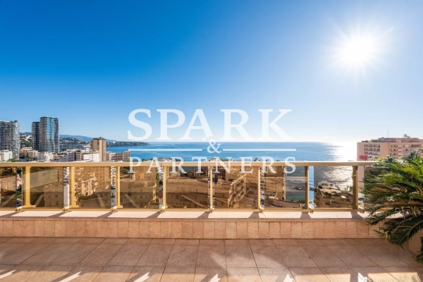 Appartement de luxe à louer à Monaco, 38 000 €, Photo 5