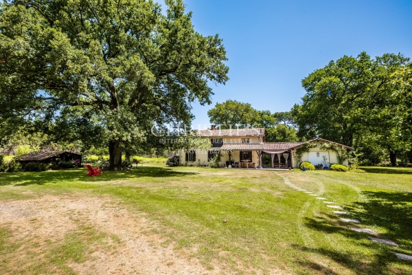 Luxury House for sale in Sore, 530 000 €, Photo 7