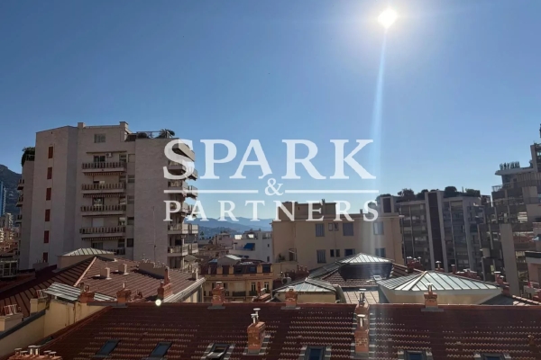 Appartement de luxe à louer à Monaco, 13 000 €, Photo 7