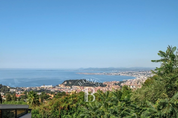 Maison de luxe à vendre à Nice, 10 600 000 €, Photo 1