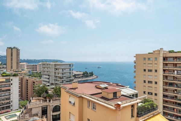 Luxury Apartment for sale in Monaco, 3 100 000 €, Photo 3
