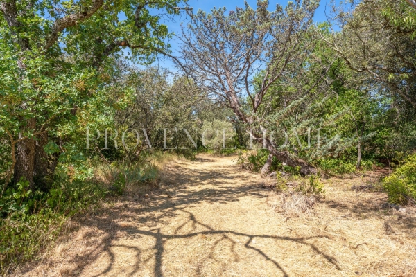 Luxury House for sale in Cabrières-d'Avignon, 1 490 000 €, Photo 7