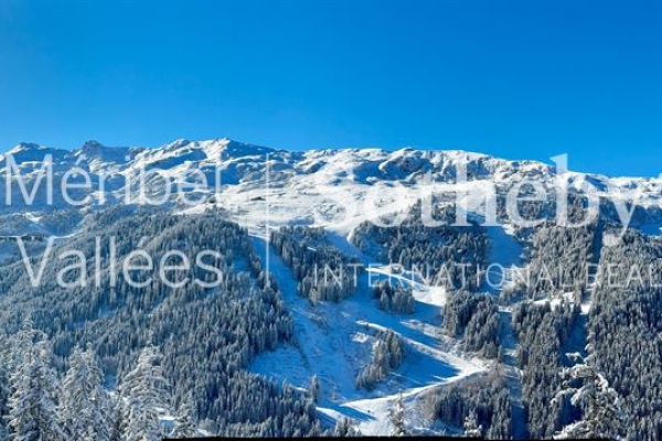 Luxury Apartment for sale in Meribel les Allues, 5 850 000 €, Photo 3