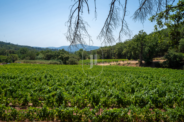 Maison de luxe à vendre à Grimaud, 10 000 000 €, Photo 2