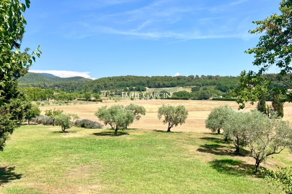 Maison de luxe à vendre à Lourmarin, 2 950 000 €, Photo 4