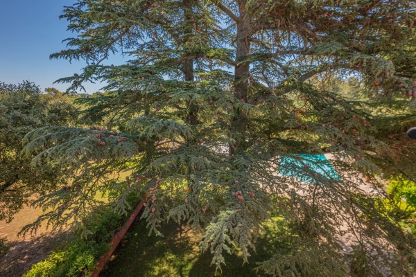Maison de luxe à vendre à Taradeau, 10 000 000 €, Photo 2
