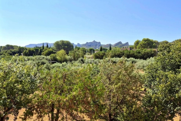Maison de luxe à vendre à Saint-Rémy-de-Provence, 1 330 000 €, Photo 1