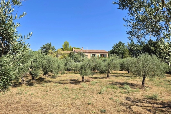 Maison de luxe à vendre à Saint-Rémy-de-Provence, 1 330 000 €, Photo 4