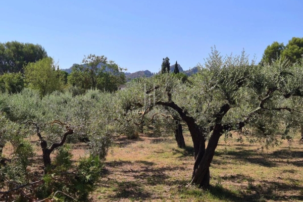 Maison de luxe à vendre à Saint-Rémy-de-Provence, 1 330 000 €, Photo 6