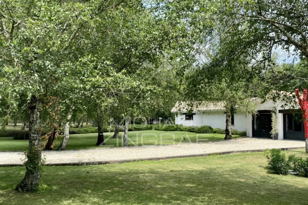 Luxury House for sale in Gujan-Mestras, 3 500 000 €, Photo 5