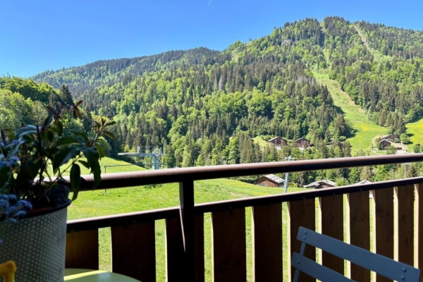 Appartement de luxe à vendre à La Clusaz, 790 000 €, Photo 4
