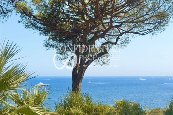 Maison de luxe à vendre à Saint-Tropez, 52 500 000 €, Photo 1