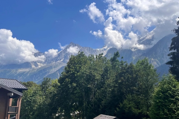 Luxury House for sale in Les Houches, 2 000 000 €, Photo 3