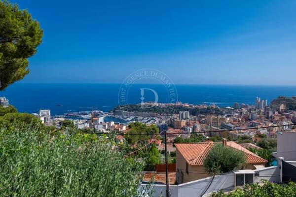 Maison de luxe à vendre à Beausoleil, 6 500 000 €, Photo 1