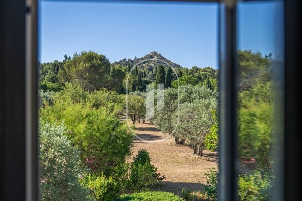 Maison de luxe à vendre à Saint-Rémy-de-Provence, 2 990 000 €, Photo 2