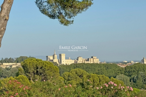 Maison de luxe à vendre à Villeneuve-Lès-Avignon, 3 900 000 €, Photo 1