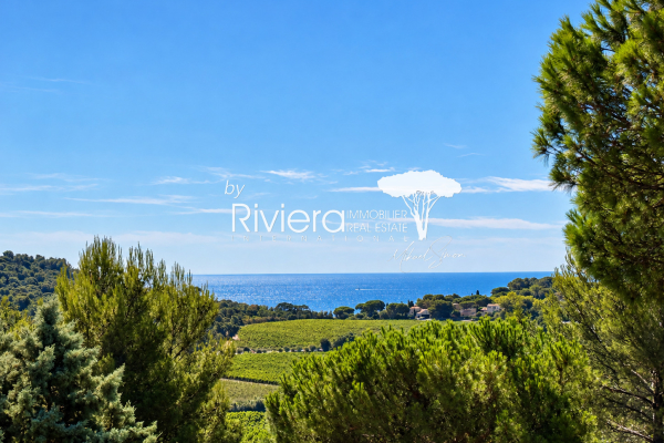 Luxury House for sale in La Croix-Valmer, 2 990 000 €, Photo 2
