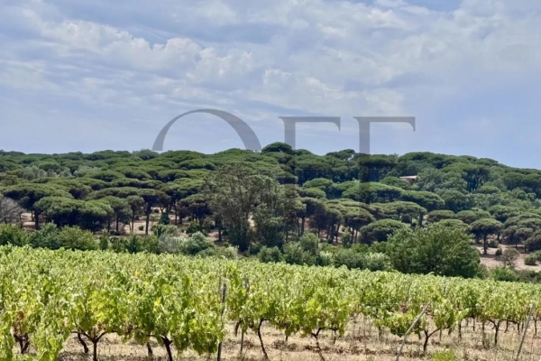 Maison de luxe à vendre à Ramatuelle, 7 500 000 €, Photo 1
