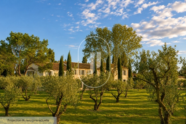 Maison de luxe à vendre à Saint-Rémy-de-Provence, 6 880 000 €, Photo 2