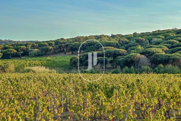 Maison de luxe à vendre à Ramatuelle, 7 500 000 €, Photo 2