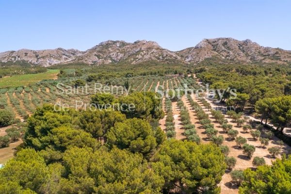 Maison de luxe à vendre à Maussane les Alpilles, 6 250 000 €, Photo 3