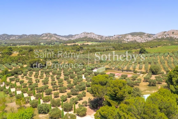 Maison de luxe à vendre à Maussane les Alpilles, 6 250 000 €, Photo 4