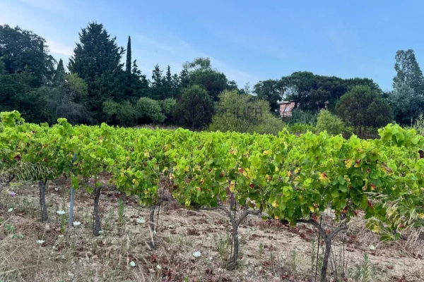 Luxury House for sale in Saint-Tropez, 3 700 000 €, Photo 3