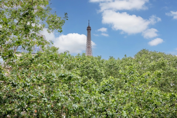 Appartement de luxe à vendre à Paris 7ème, 2 690 000 €, Photo 7